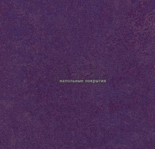 Натуральный линолеум Marmoleum Modular Colour (Мармолеум Модулар Колор) t3244 purple