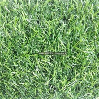 Искусственная трава EcoGreen 35 мм (с зеленым подшерстком)